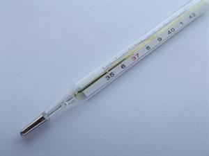 Mercury-thermometer.jpg
