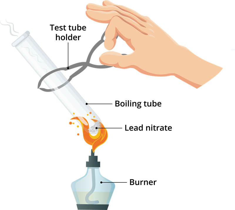 decomposition-of-lead-nitrate-lesson-science-cbse-class-10