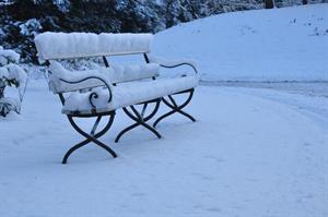 landscape-nature-forest-path-branch-snow-1176708-pxhere.com.jpg