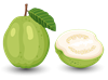 Guava.png