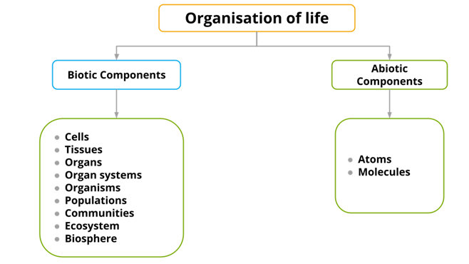 Copy YC Editorial - Drawings for the exercises.png