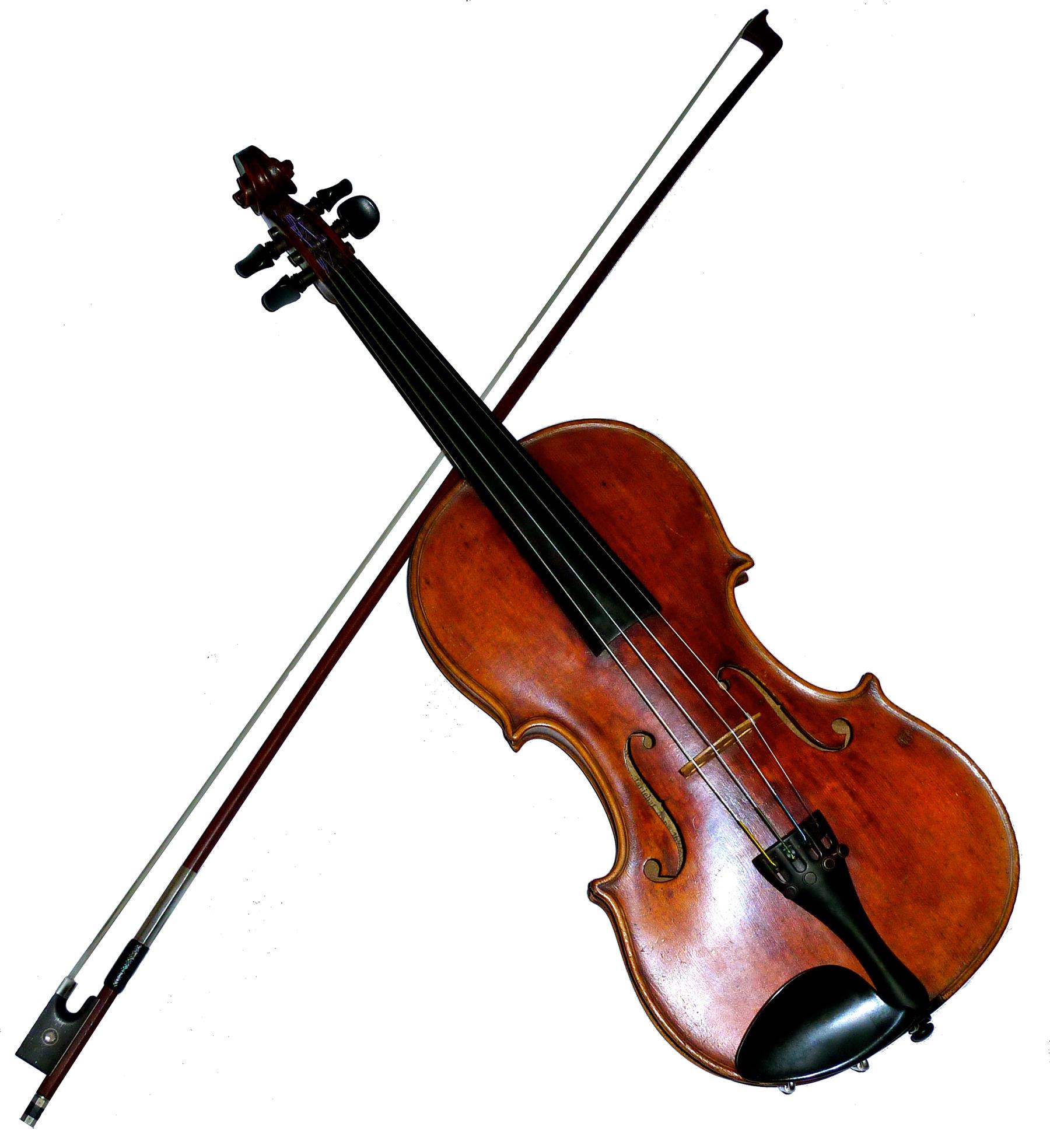 String and percussion instruments — lesson. Science State Board, Class 8.