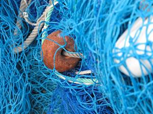 fishing-net-557249_1280.jpg