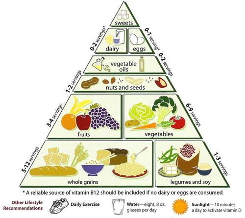 LomaLindaUniversityVegetarianFoodPyramid.jpg