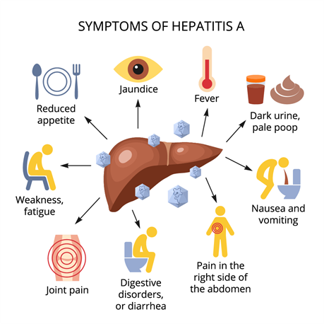shutterstock_1420119932 (Hepatitis A).png