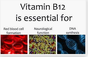 b12.PNG
