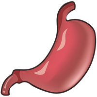 stomach-4710030_960_720.png