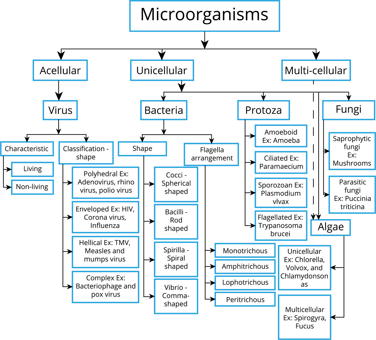 Mind map — lesson. Science CBSE, Class 8.