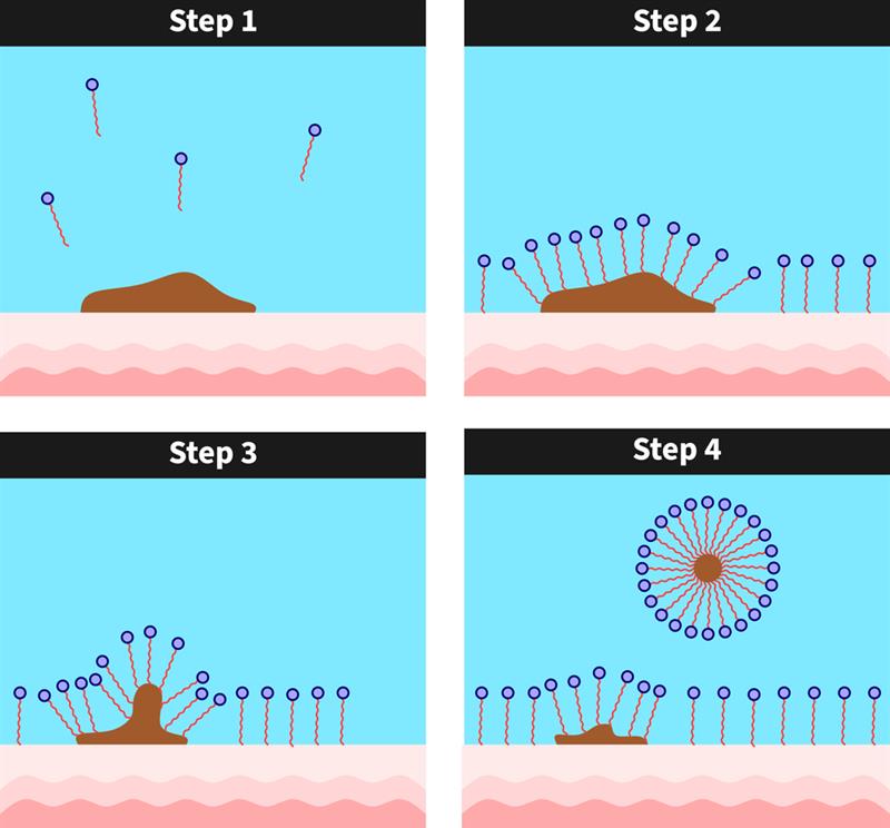 Introduction to chemistry in our daily life — lesson. Science State ...