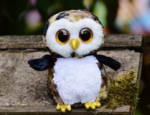 toy owl.jpg
