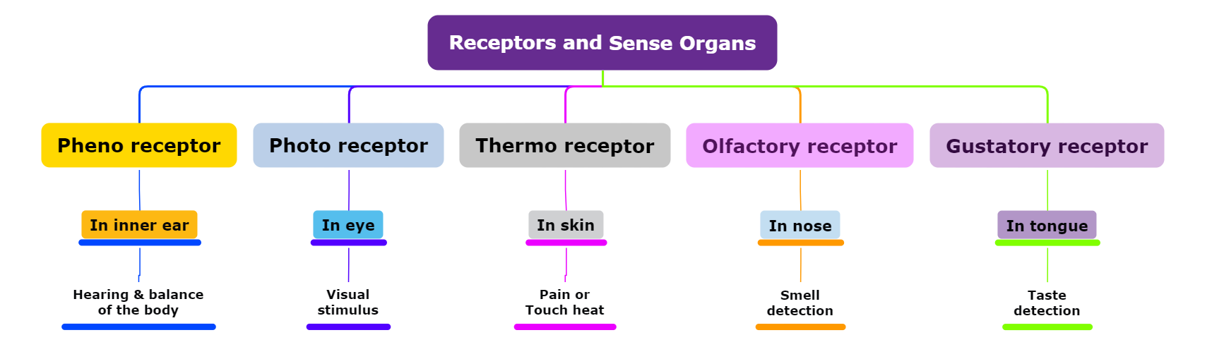 Mindmap — lesson. Science CBSE, Class 10.