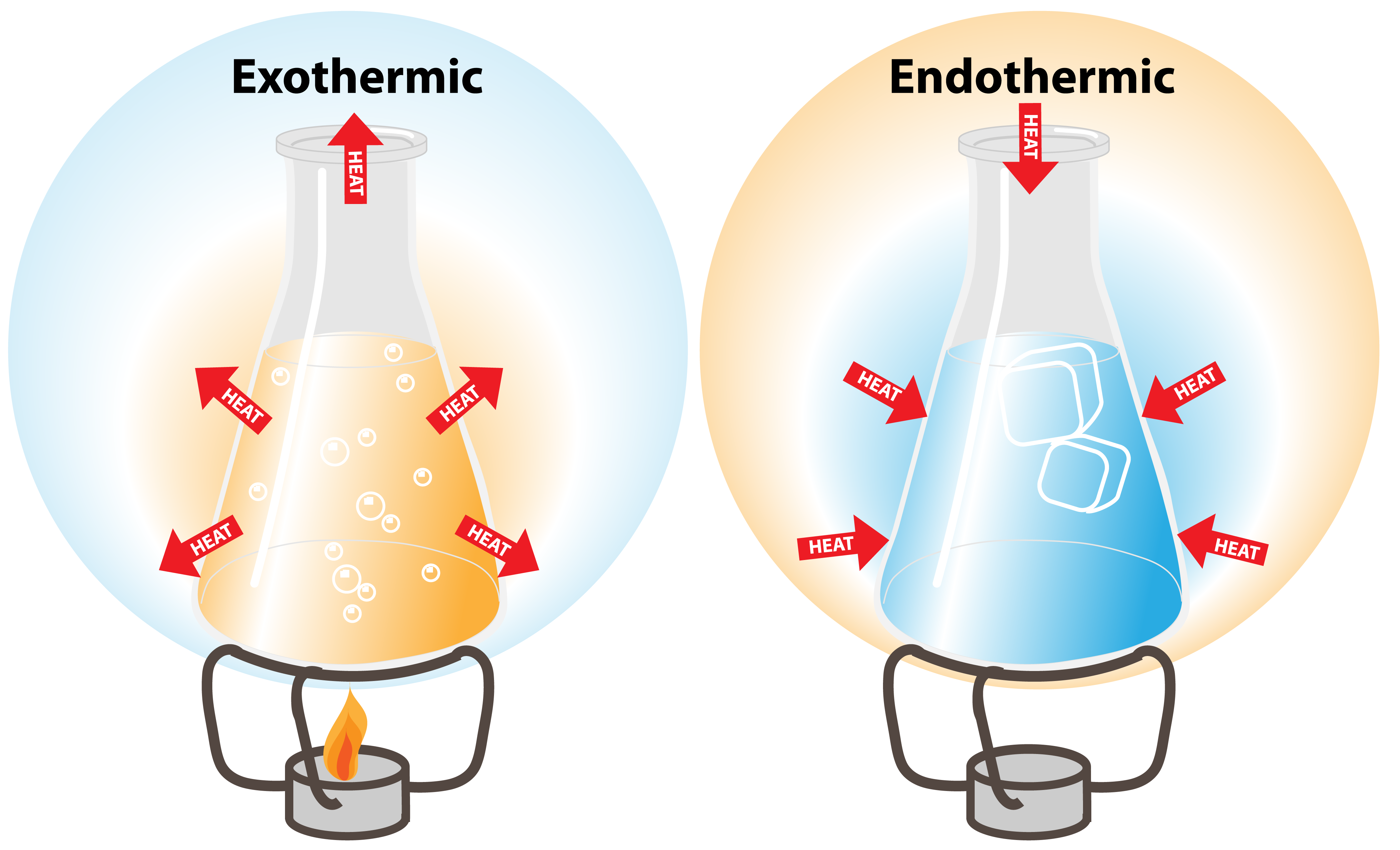 Exothermic And Endothermic Chemical Changes Lesson Science State