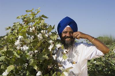 800px-Pic-bt-cotton-punjab-farmer.jpg