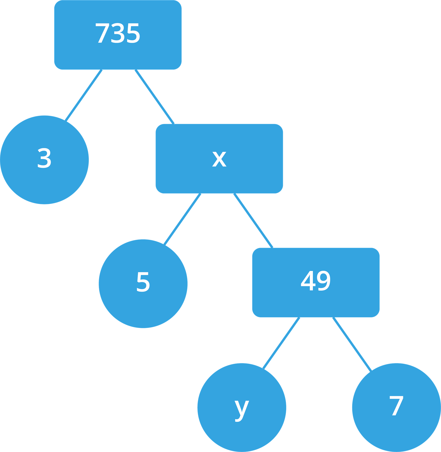 Factor tree — task. Mathematics CBSE, Class 10.