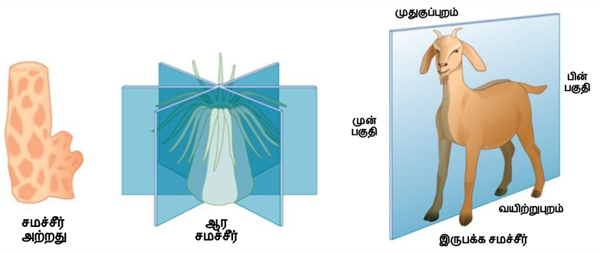 PPT (9).png