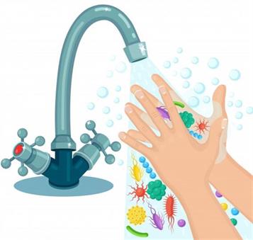 Water borne diseases caused by bacteria — lesson. Science State Board ...