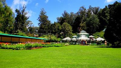 Government_Botanical_Garden,OOTY_,TAMIL_NADU_,INDIA.jpg
