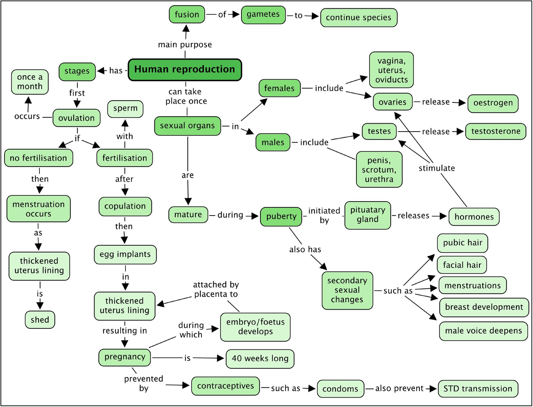 Mindmap Lesson Science Cbse Class 7 - vrogue.co