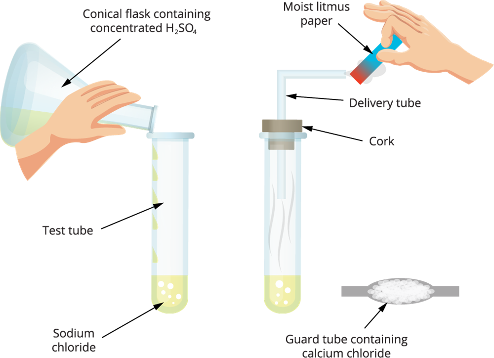 Acid and base in a water solution — lesson. Science CBSE, Class 10.