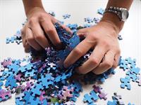 pieces-of-the-puzzle-592798_640.jpg
