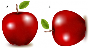 red_apples.png