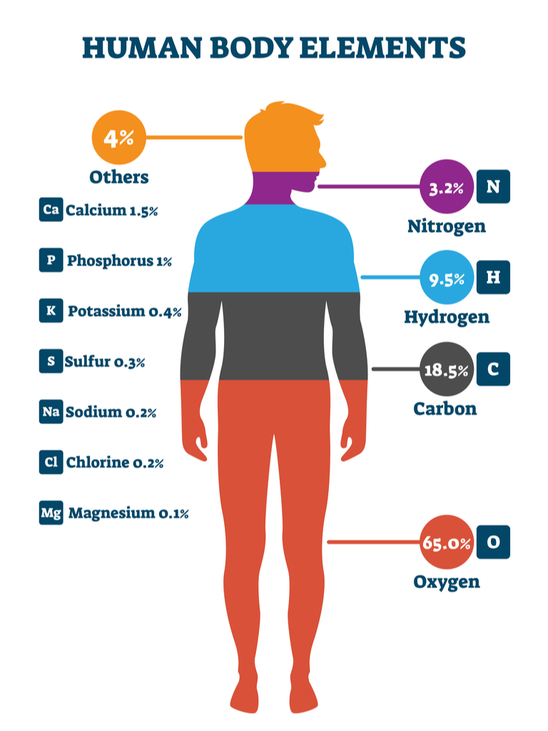 elements-present-in-human-body-and-air-lesson-science-state-board