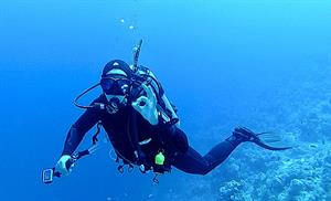 diving-underwater-divers-water-preview.jpg