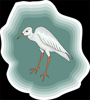 White Heron.png