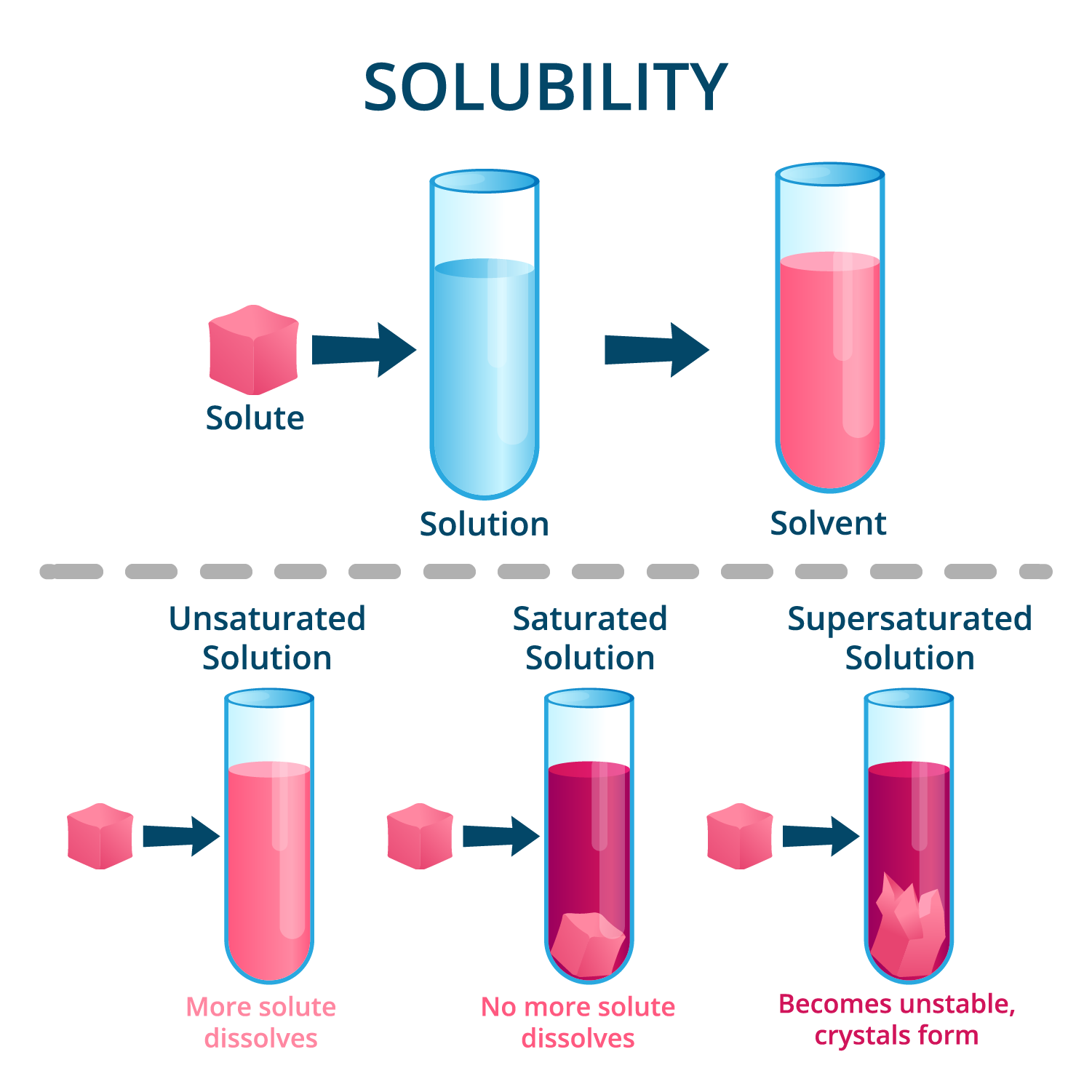 Types Of Solutions Based On The Amount Of The Solute Lesson Science 