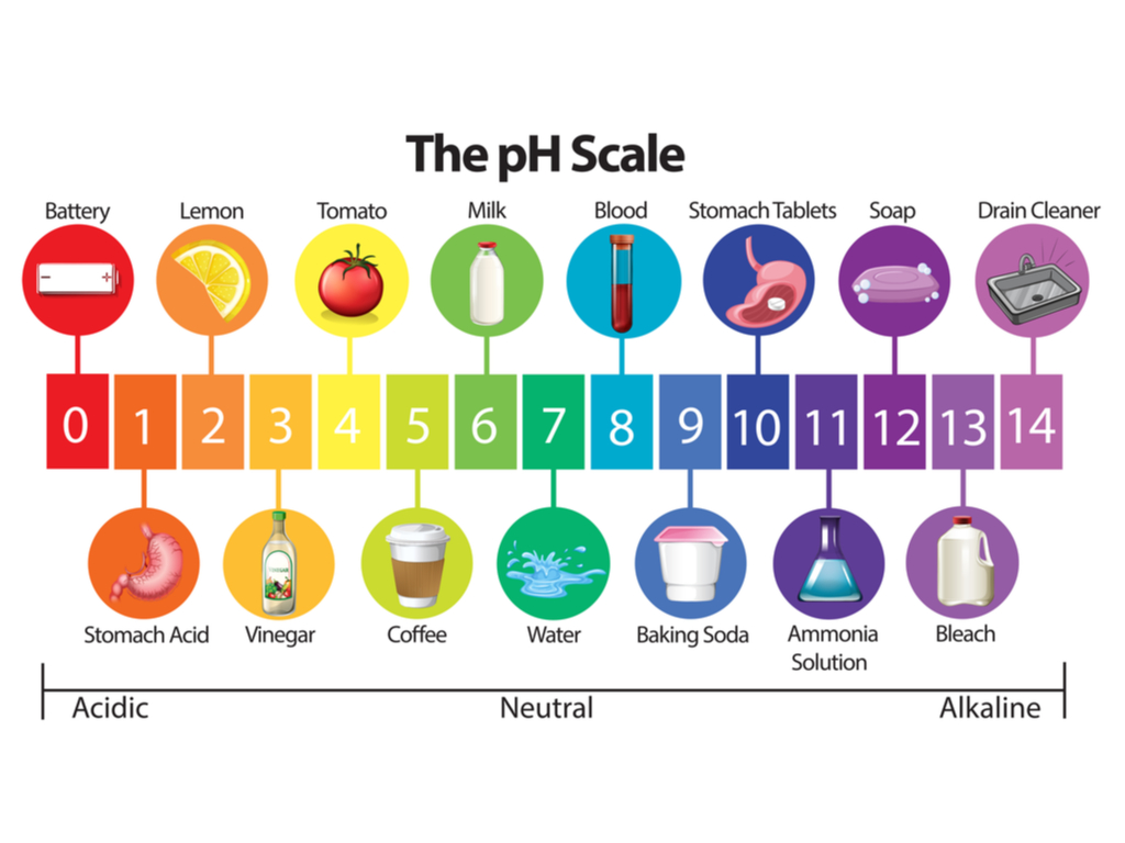 pH scale — lesson. Science CBSE, Class 7.