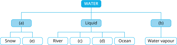 YCIND_240416_6193_soil_and_water_5.png