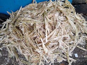 512px-Sugarcane_bagasse.jpg