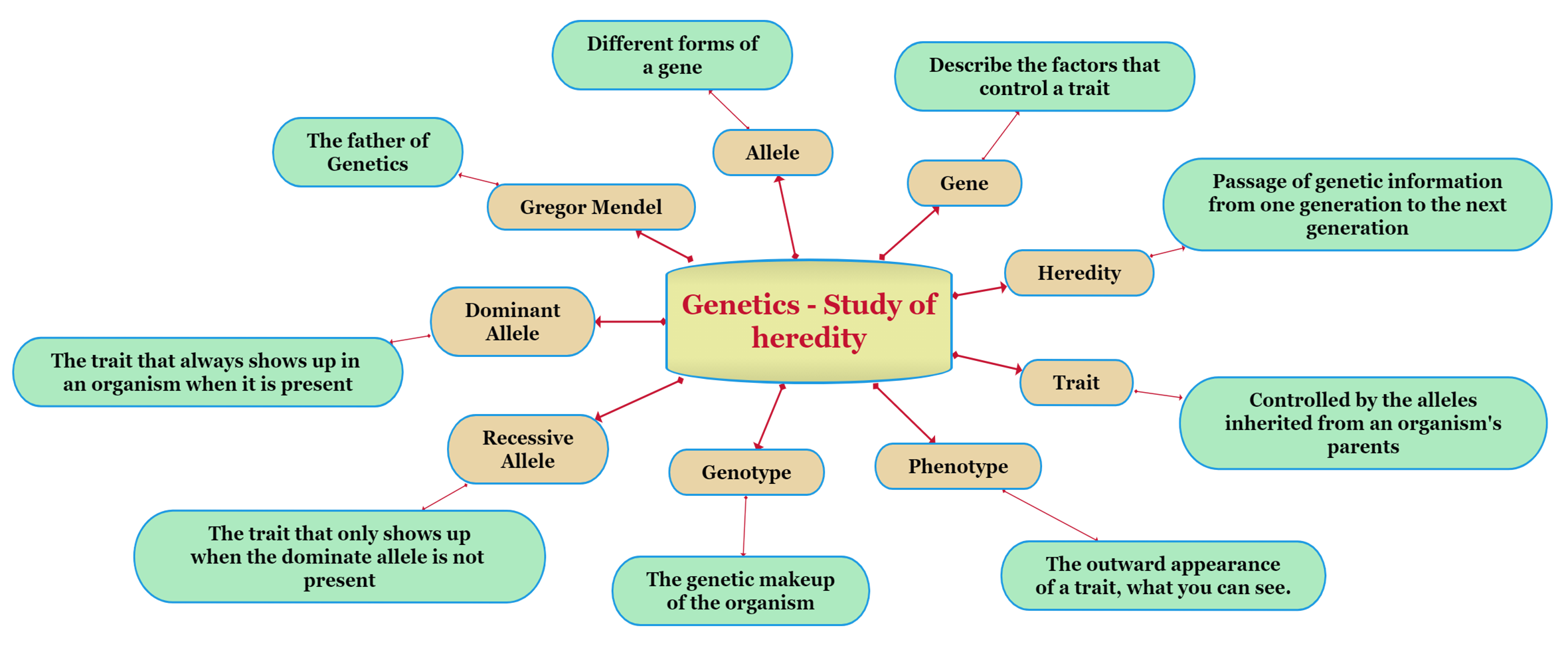 Mindmap — Lesson Science Cbse Class 10 3412