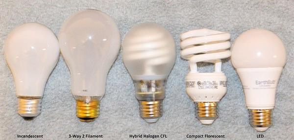 Lightbulbs.jpg