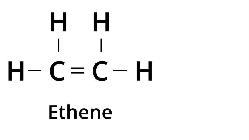 Special features of Carbon — lesson. Science State Board, Class 9.