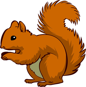 squirrel-1456764_1280.png