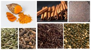 spices of india 1.jpg