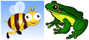 bee and frog.jpg
