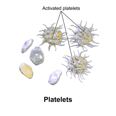 640px-Blausen_0740_Platelets.png