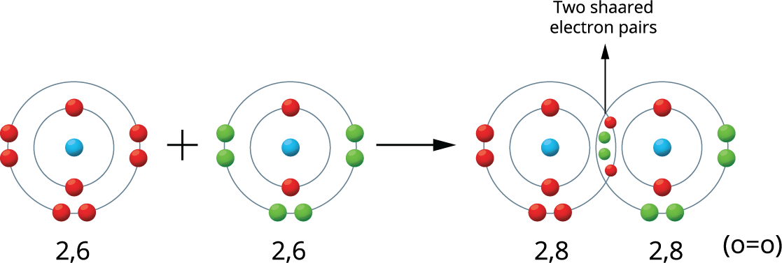 Covalent bond — lesson. Science State Board, Class 9.