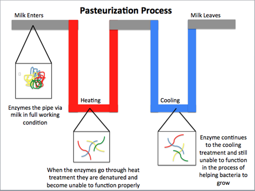 Simple_Pasteurization.png