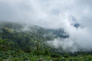 fog-forest-mountain-thailand_1150-10918.jpg