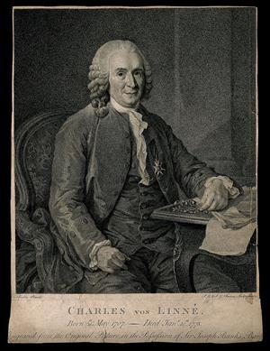 1024px-Carolus_Linnaeus._Stipple_engraving_by_S._G._&_J._G._Facius_Wellcome_V0003605.jpg