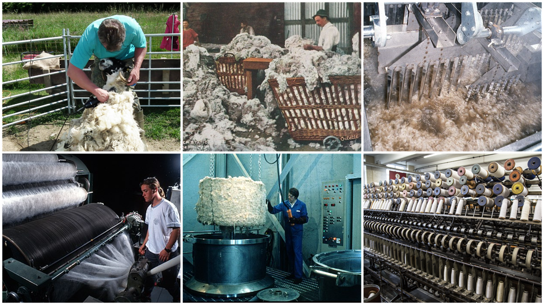 Processing and uses of wool — lesson. Science State Board, Class 7.