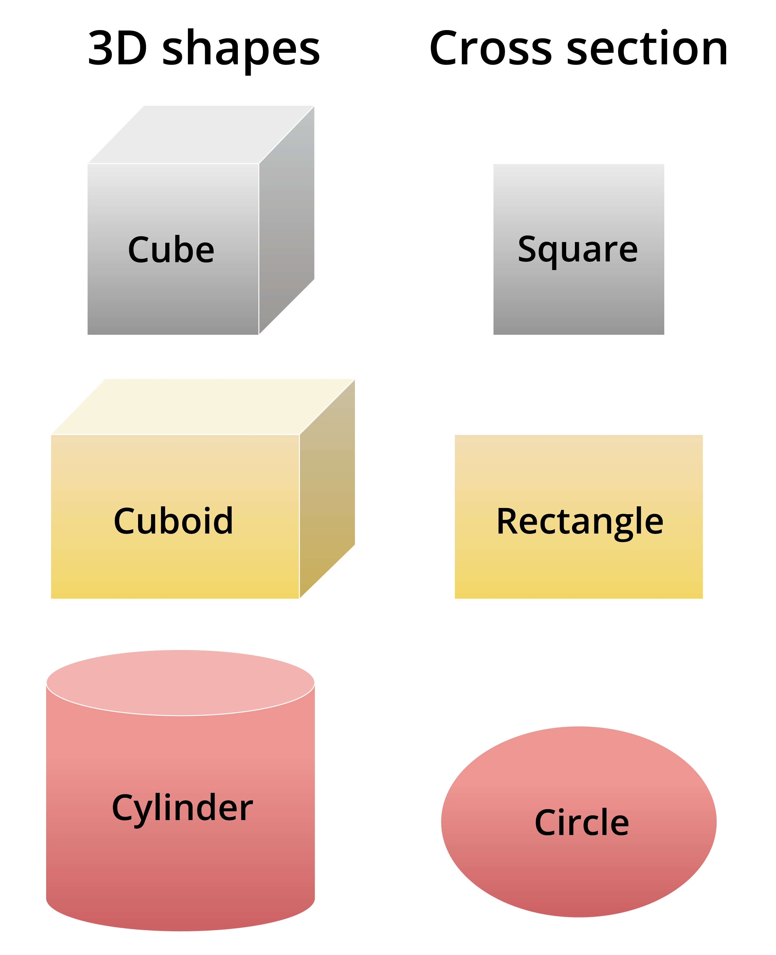 Cross Section Of 3d Shapes — Lesson Mathematics State Board Class 8