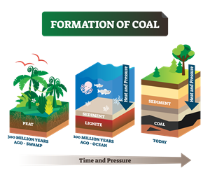 Formation of fossil fuels — lesson. Science CBSE, Class 8.