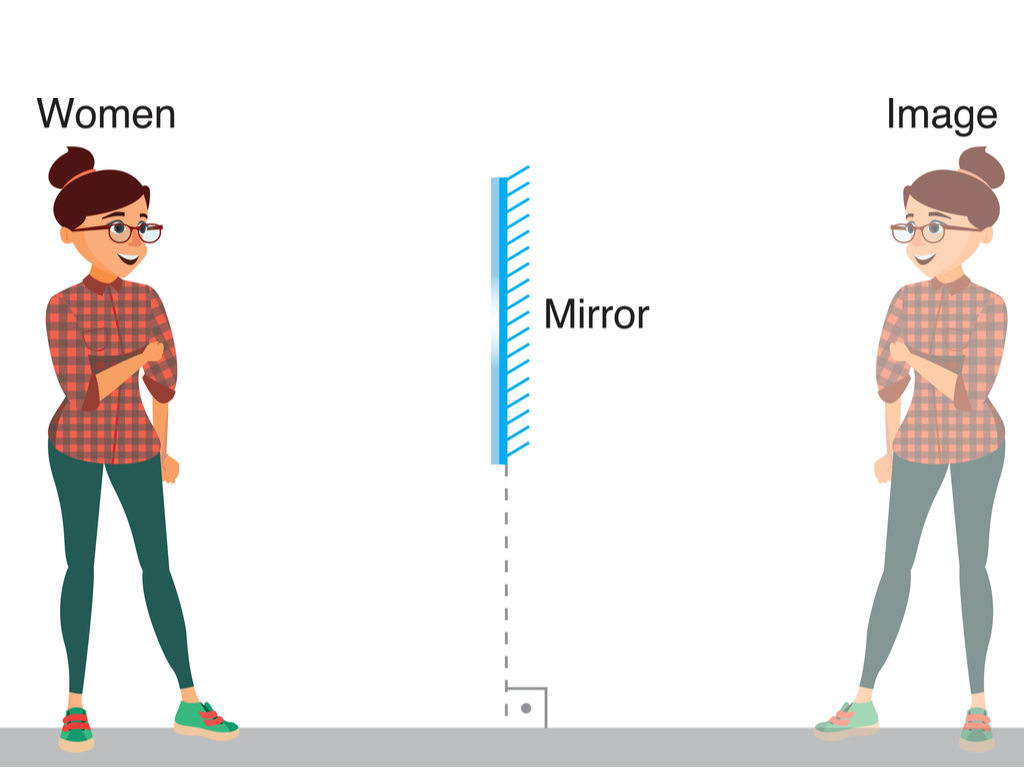 Lateral Inversion — Lesson Science State Board Class 9 1265