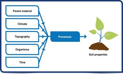 soil-formation-in-Indian-Conditions.jpg