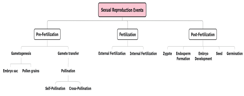 SexualReproductionEvents1xw1754.png