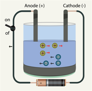 anode and cathode.png